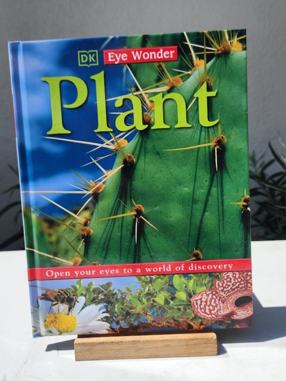 NEW DK Eye Wonder Plant Hardcover Book by David Burnie DK Publishing 48 pages IS